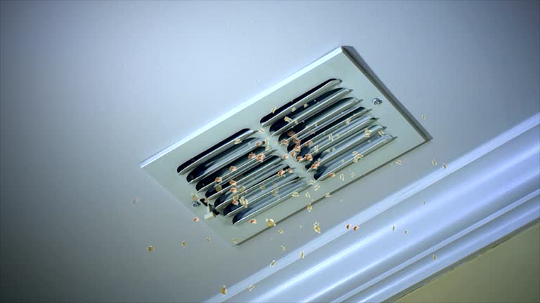 Best Air Vent Cleaning Services  in Woodland Hills, UT