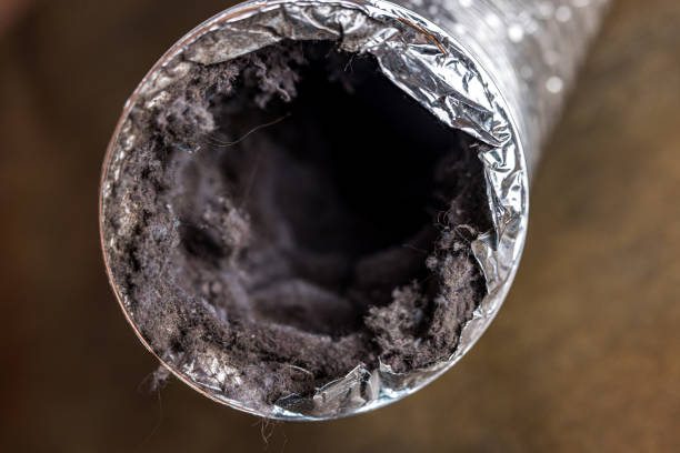 Best Local Air Duct Cleaning Services  in Woodland Hills, UT