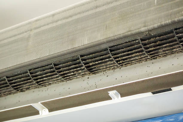 Best Professional Duct Cleaning Services  in Woodland Hills, UT